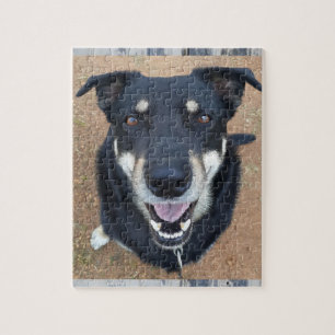 Hund Jigsaw