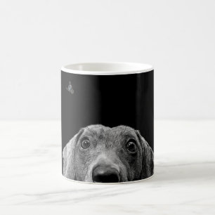Hund Kaffeetasse