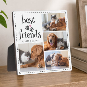 Hund Katze beste Freunde Pfotenabdrücke 4 Fotos Be Fotoplatte