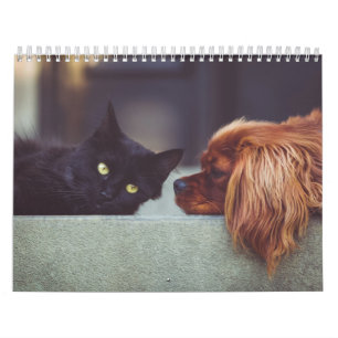Hund-Katze-Kalender Kalender