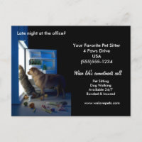 Hund & Katze Zuhause Allein Mitternacht Pet Sitter