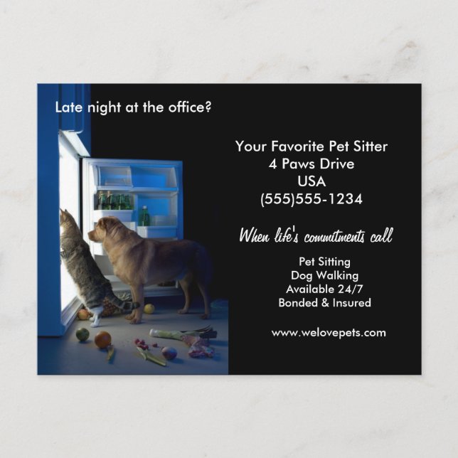 Hund & Katze Zuhause Allein Mitternacht Pet Sitter Postkarte (Vorderseite)
