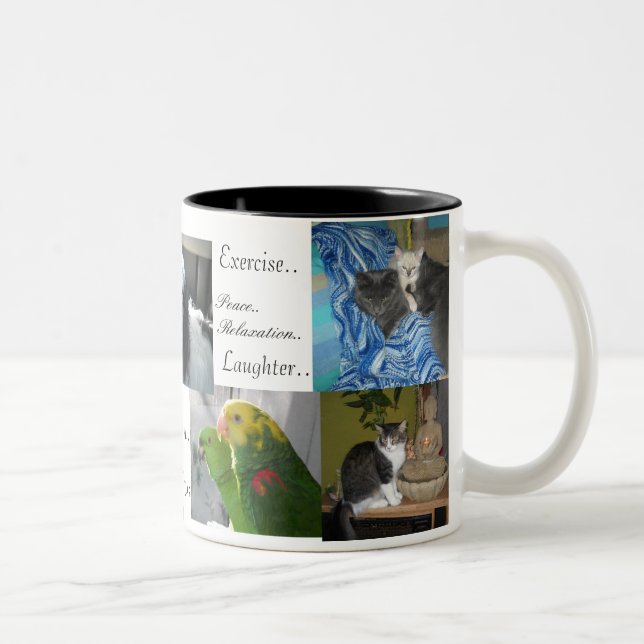 Hund, Katzen, Vögel, beste Freunde Zweifarbige Tasse (Rechts)
