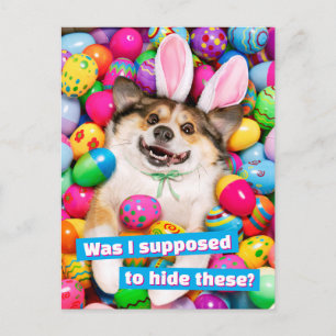 Hund liegt auf Ostereiern Einladungspostkarte