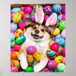 Hund liegt auf Ostereiern Poster