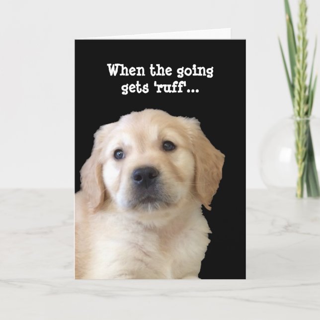 Hund Lover bekommen Well Card Karte (Vorderseite)