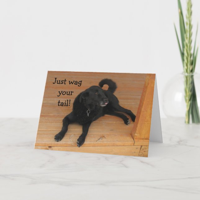 Hund Lover Belated Geburtstag Karte (Vorderseite)