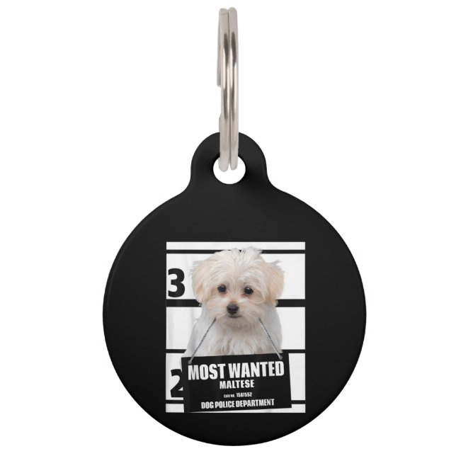 Hund Lover | Die meisten Gewollt maltesische Hunde Haustiermarke (Vorderseite)