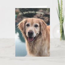 Hund Lover Geburtstagskarte