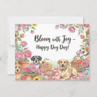 Hund Lover Golden Retriever