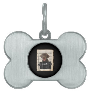 Hund Lover Guilty Chocolate Labrador Bad Dog Tiermarke