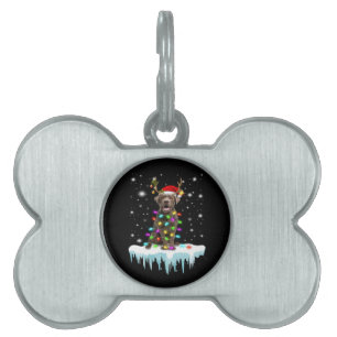 Hund Lover   Schokolade Labrador Christmas Light Tiermarke