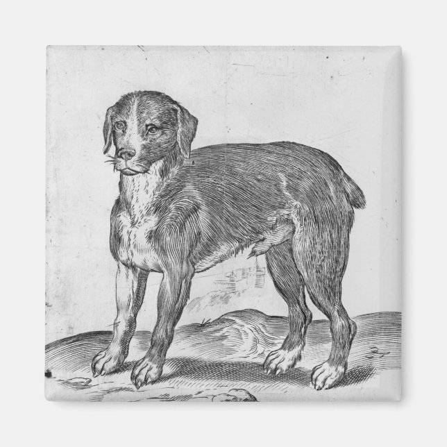 Hund Magnet (Vorne)