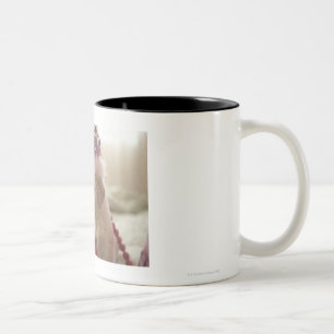 Hund mit Dekorationen auf Bett Zweifarbige Tasse