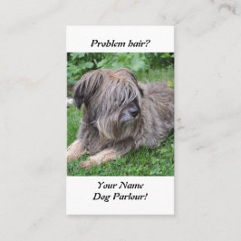 Hund mit dem Haar über ihm ist Augen Visitenkarte