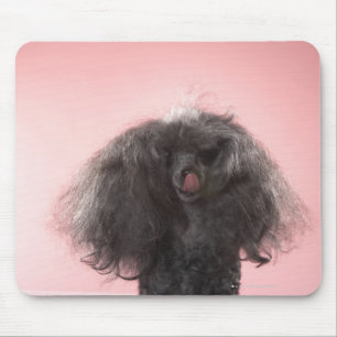 Hund mit dem Haar vor Gesicht und Zunge heraus Mousepad