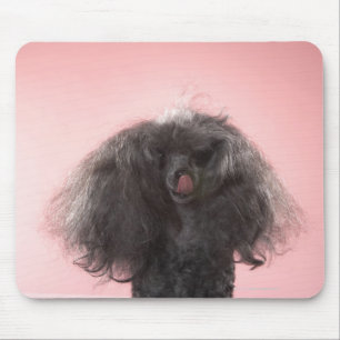 Hund mit dem Haar vor Gesicht und Zunge heraus Mousepad