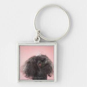 Hund mit dem Haar vor Gesicht und Zunge heraus Schlüsselanhänger