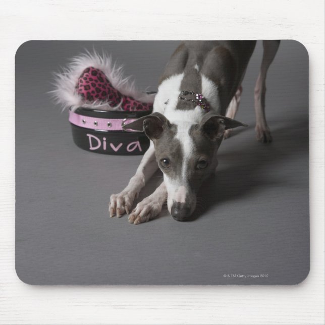 Hund mit Diva-Schüssel, Sniffboden Mousepad (Vorne)