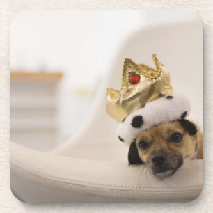 Hund mit einer Krone Getränkeuntersetzer