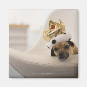 Hund mit einer Krone Magnet