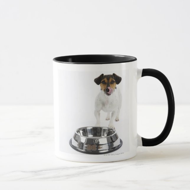 Hund mit großer Schüssel Tasse (Rechts)
