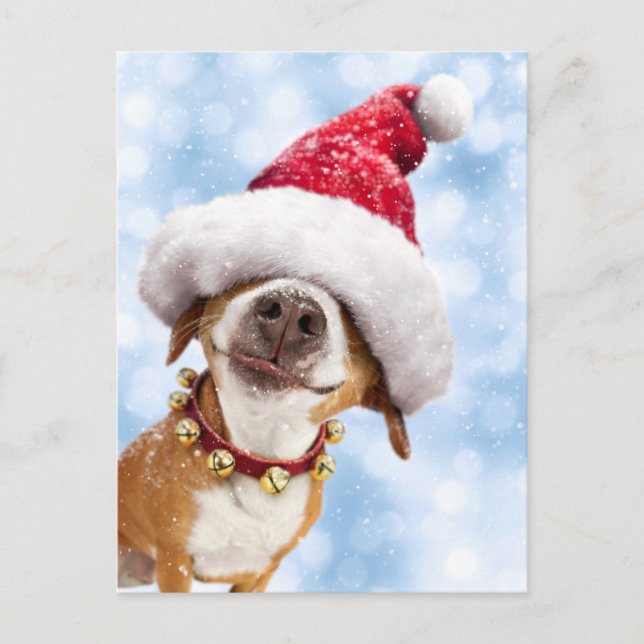 Hund mit großer Weihnachtsmannmütze Einladungspostkarte (Vorderseite)