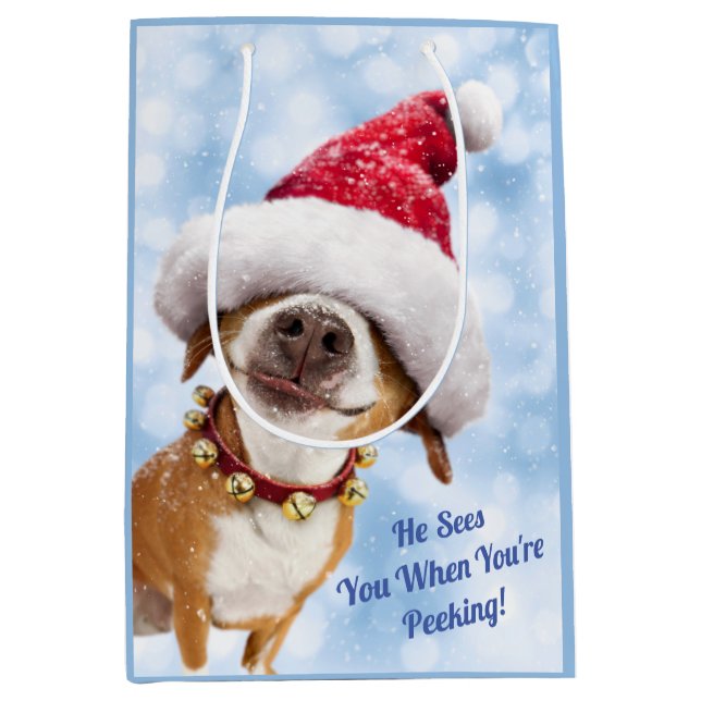 Hund mit großer Weihnachtsmannmütze Mittlere Geschenktüte (Vorderseite)
