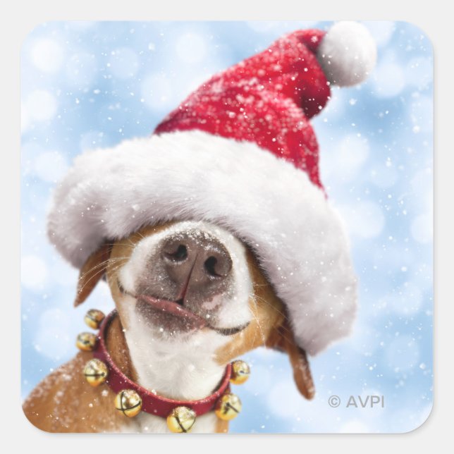 Hund mit großer Weihnachtsmannmütze Quadratischer Aufkleber (Vorderseite)
