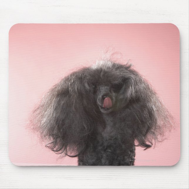 Hund mit Haar vor dem Gesicht und Zunge heraus Mousepad (Vorne)