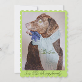 Hund mit Handschuhen und Schal