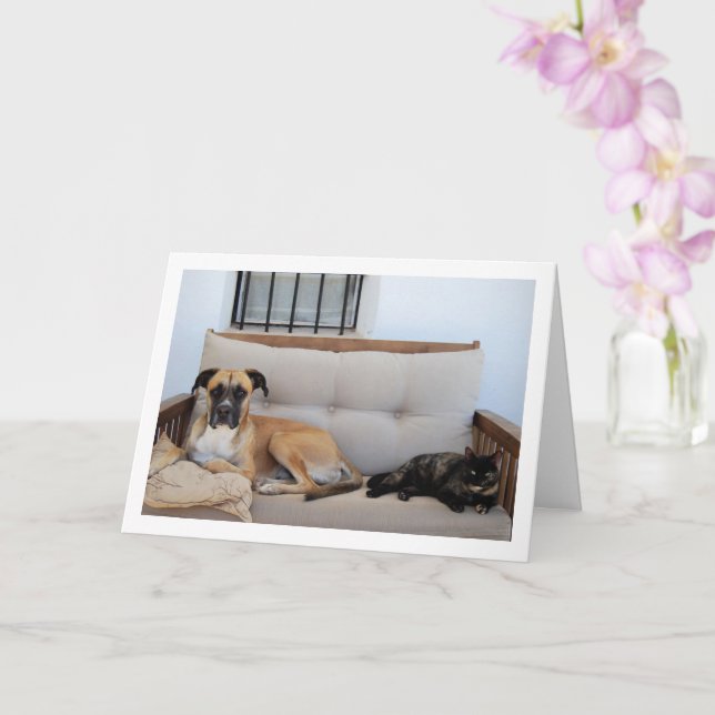 Hund mit Katze auf Bank Karte (Orchidee)