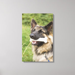 Hund mit Knochen Leinwanddruck