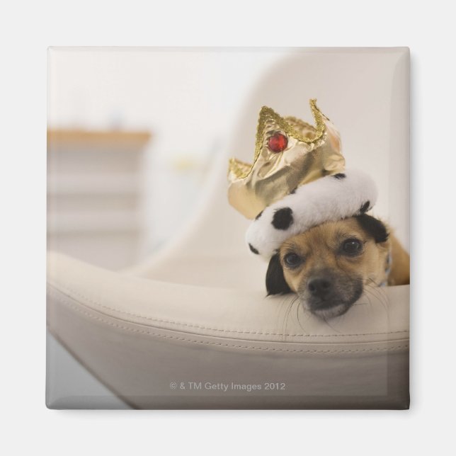 Hund mit Krone Magnet (Vorne)