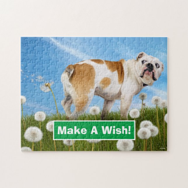 Hund mit Löwenzahn (Horizontal)