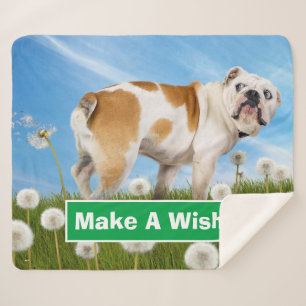 Hund mit Lüster Sherpadecke