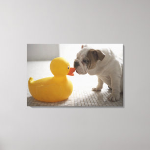 Hund mit Plastikente Leinwanddruck