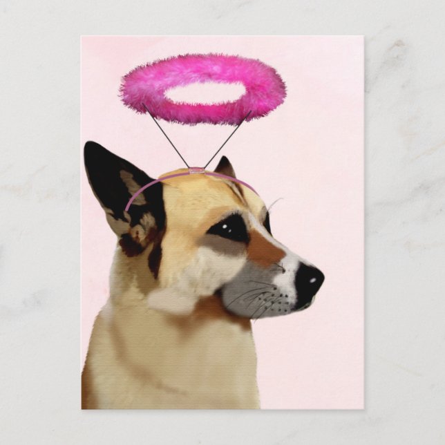 Hund mit rosa Halo Postkarte (Vorderseite)