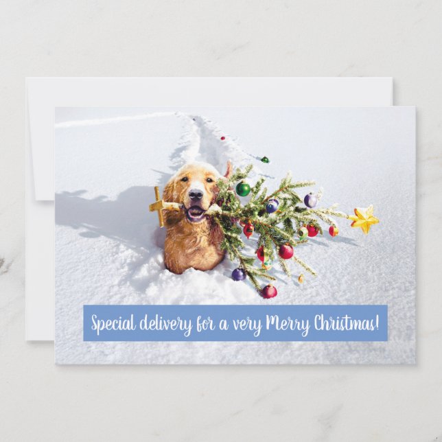 Hund mit Schnee Einladung (Vorderseite)