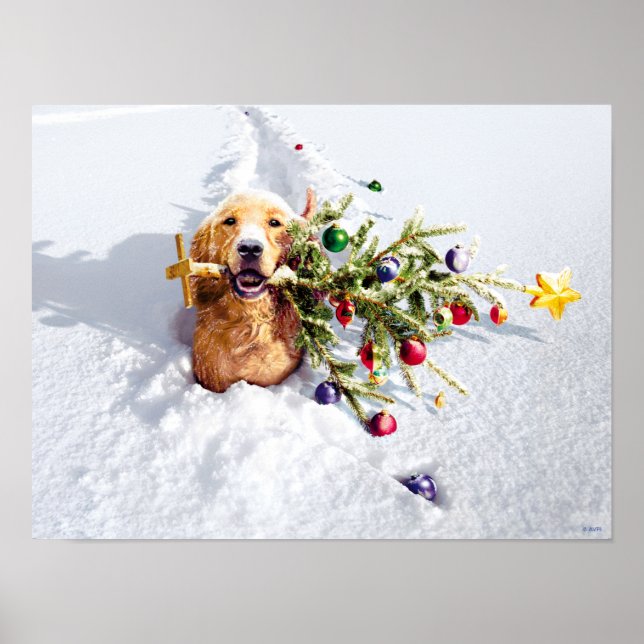 Hund mit Schnee Poster (Vorne)