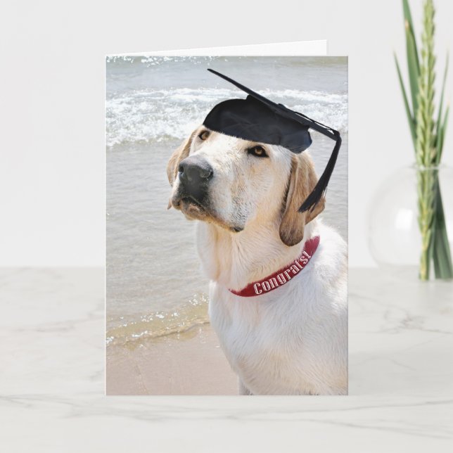 Hund mit schwarzer Graduierungskappe Karte (Vorderseite)