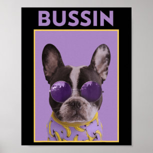 Hund mit Sungles Bulldog Bussin Poster