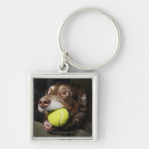 Hund mit Tennisball Schlüsselanhänger