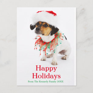 Hund mit Weihnachts-Collar und Weihnachtsmannmütze Feiertagspostkarte