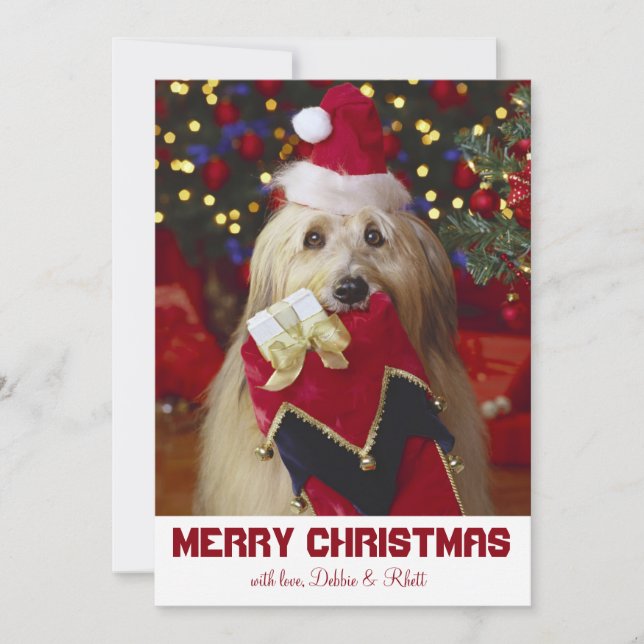 Hund mit Weihnachts-Strumpf Feiertagskarte (Vorderseite)