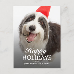 Hund mit Weihnachtsmannmütze Feiertagspostkarte