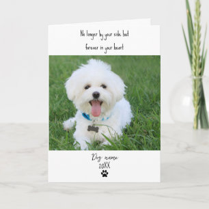 Hund-Mitleidskarte zum Verlust Gedenken mit Foto Karte