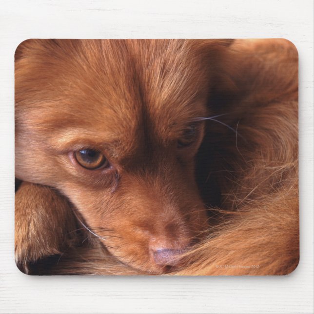 Hund Mousepad (Vorne)