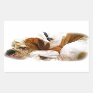 Hund nach unten rechteckiger aufkleber