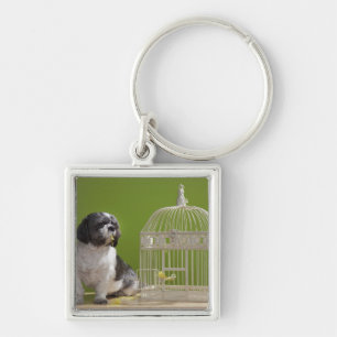 Hund nah an einem Vogelkäfig Schlüsselanhänger